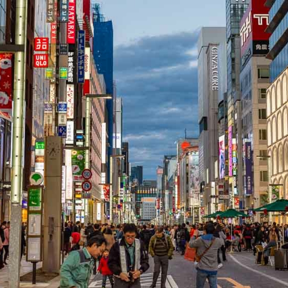 Meet your Posher, Leafy - Picture 1 of 1